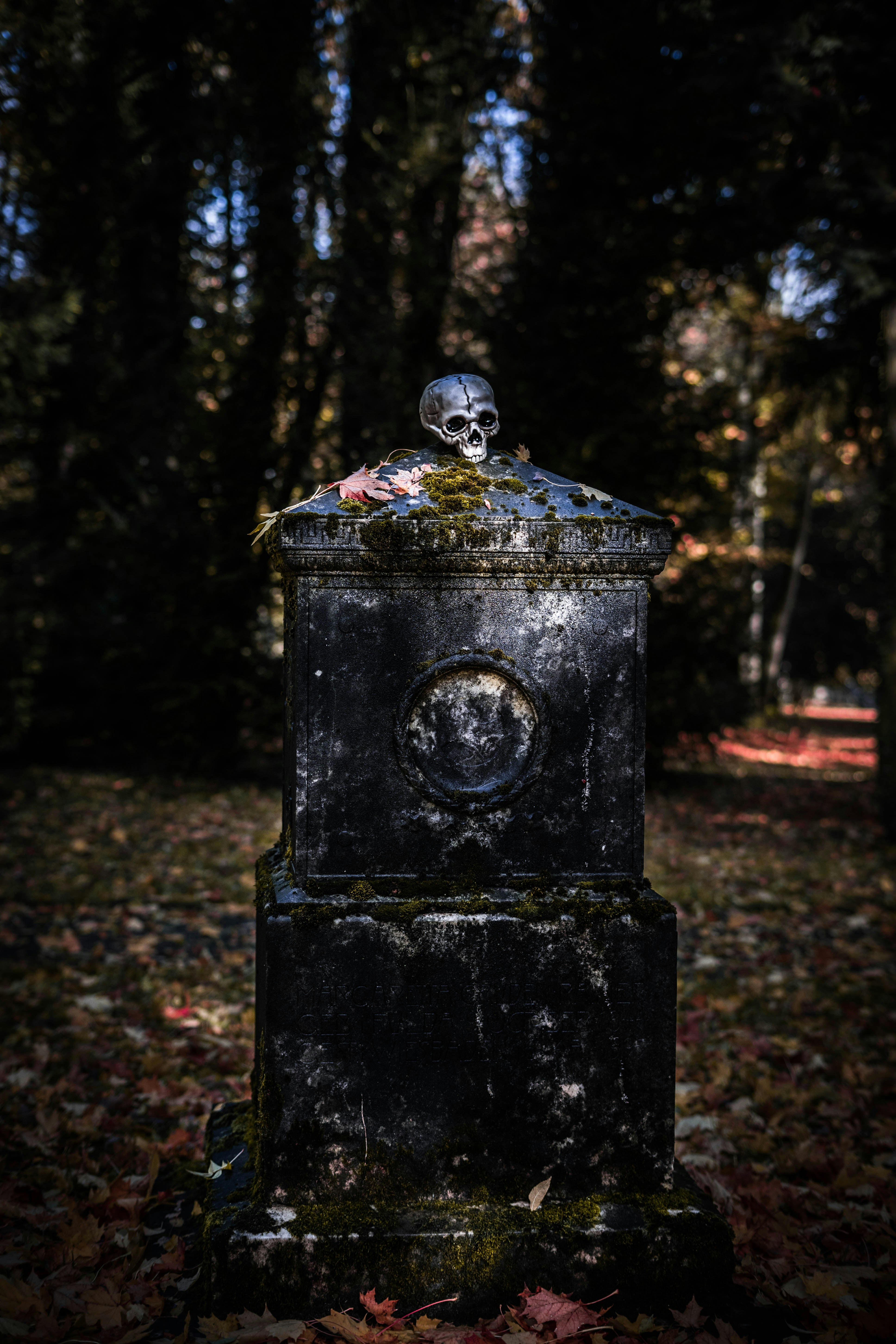 SaaS Investing looks increasingly grim, as seen in this photo of a tombstone with a skull on it in a graveyard.