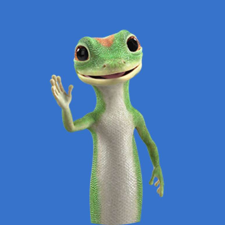 Geico is a key business for Berkshire Hathaway. This image is of the gecko, GEICO's advertising mascot.
